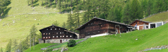 Bergbauernhof Tisenhof